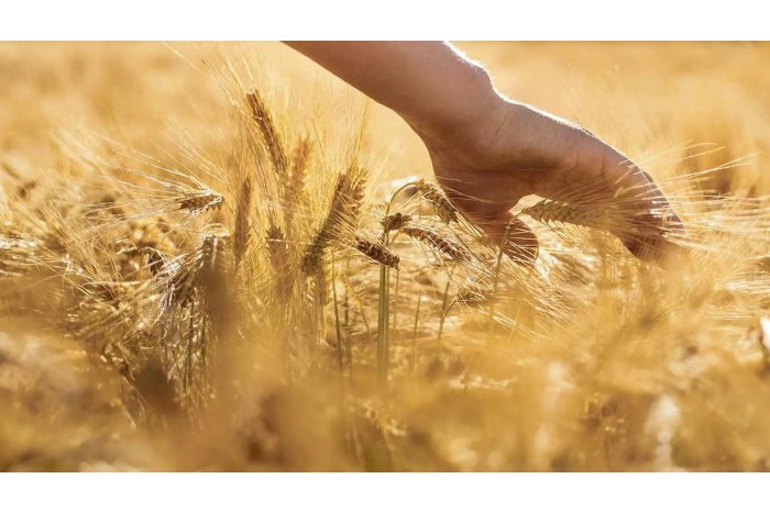 Ministerul Agriculturii a lansat o campanie de informare privind acțiunile realizate în acest an