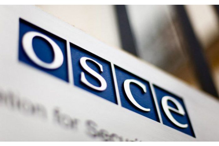 Moldovan parliament's delegation participates in Winter Meeting of OSCE Parliamentary Assembly 