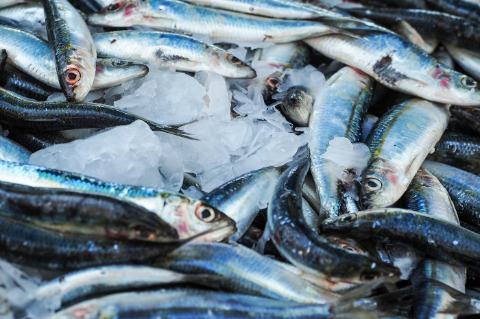 ANSA vine cu recomandări la procurarea şi consumul peştelui sau produselor pescăreşti